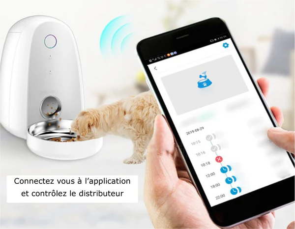 Distributeur de Croquettes 2L WiFi & Connecté Catgrip